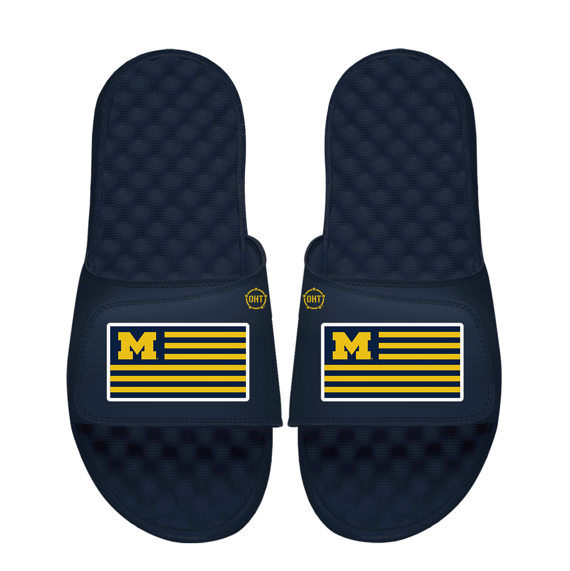 Michigan Wolverines Team Flag ISlide x OHT