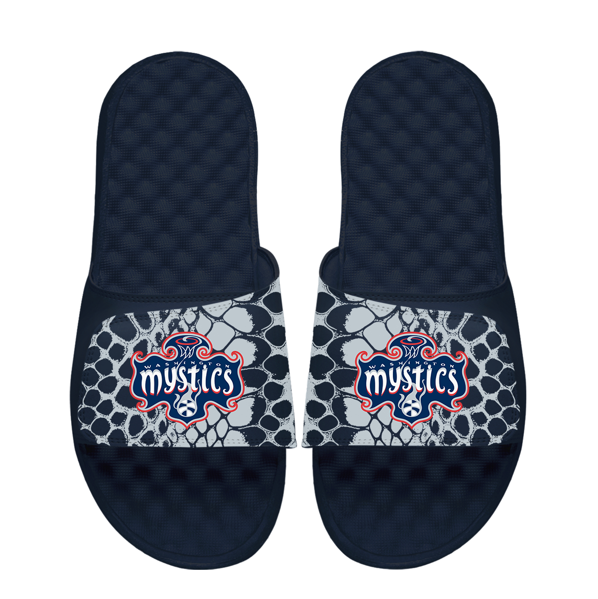 Washington Mystics Year of the Snake