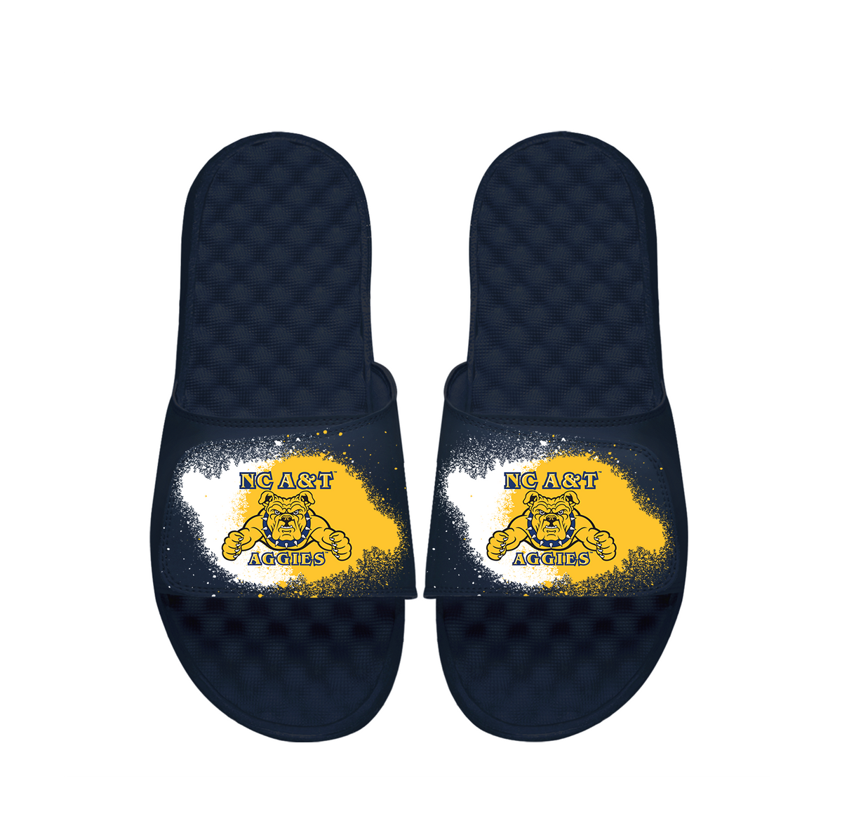 North Carolina A&amp;T Spray Paint Slides