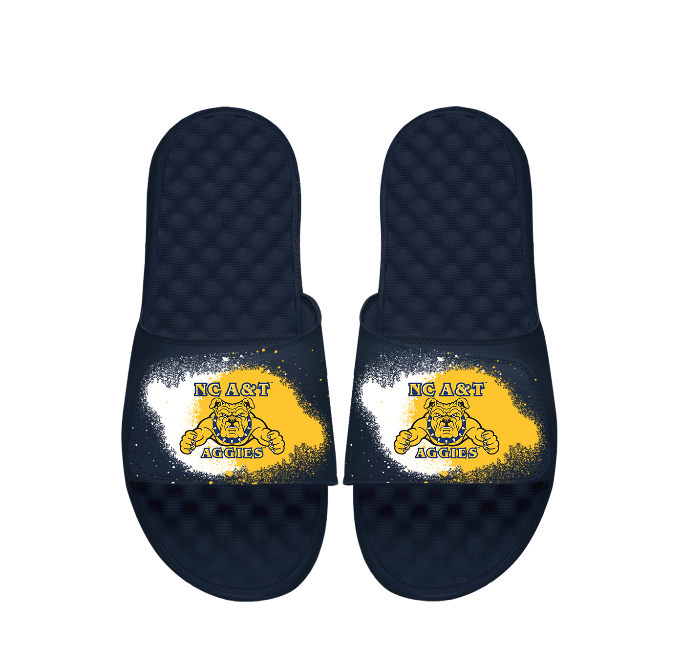 North Carolina A&T Spray Paint Slides