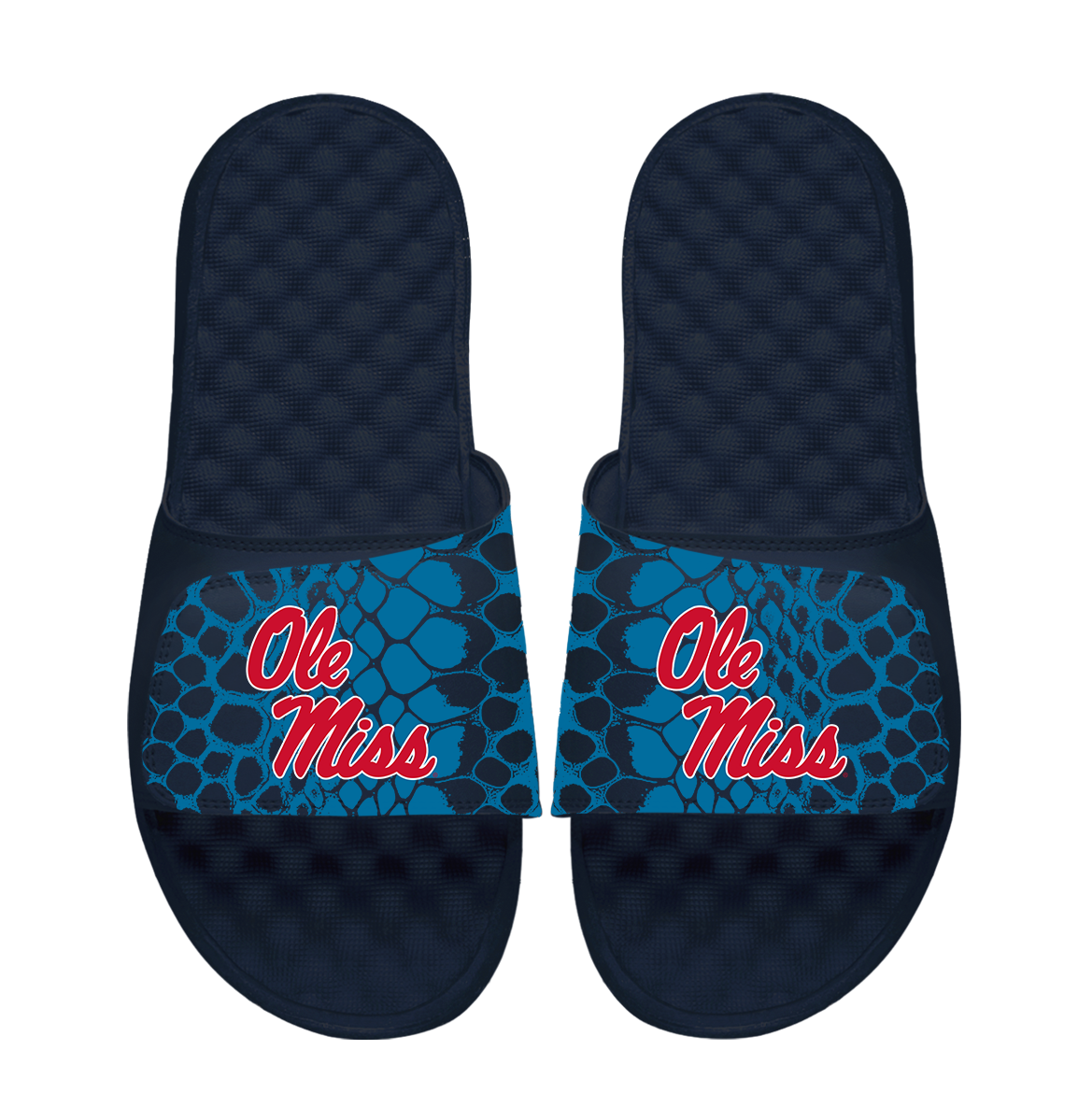 Ole Miss Rebels Year of the Snake