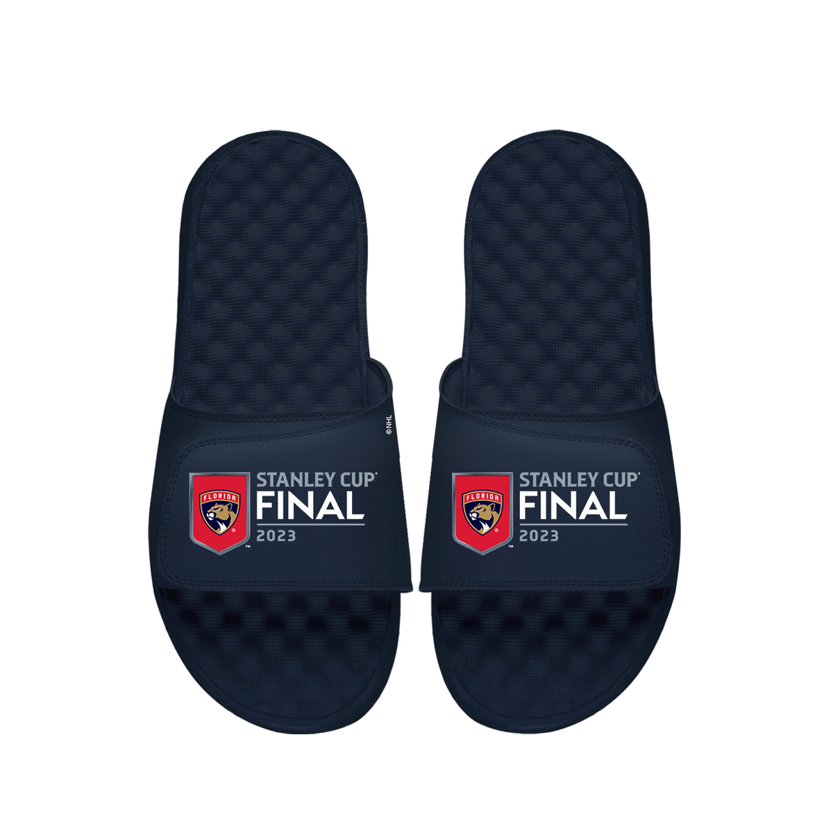 Florida Panthers 23&#39; Cup Finals Slides