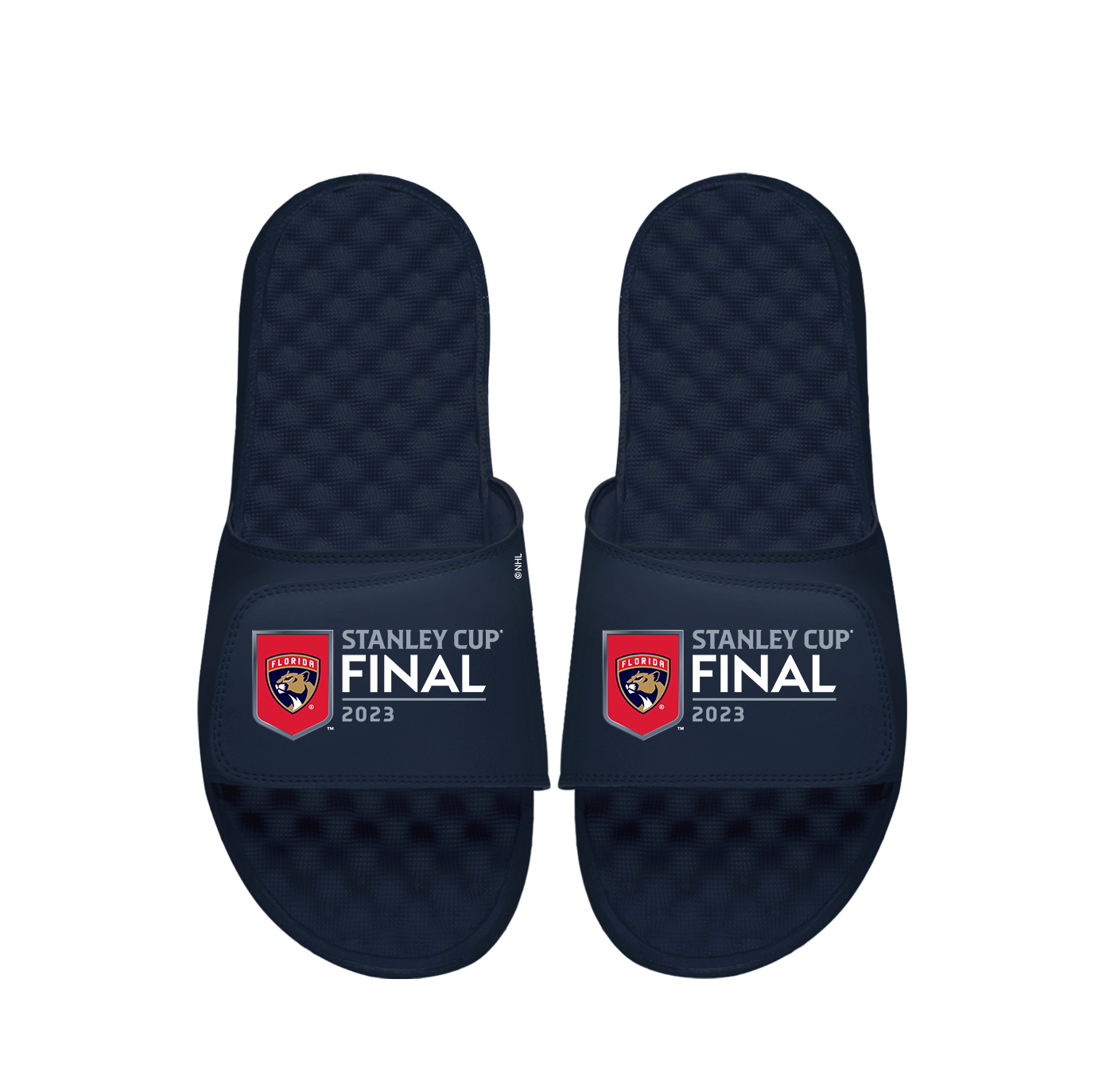 Florida Panthers 23' Cup Finals Slides