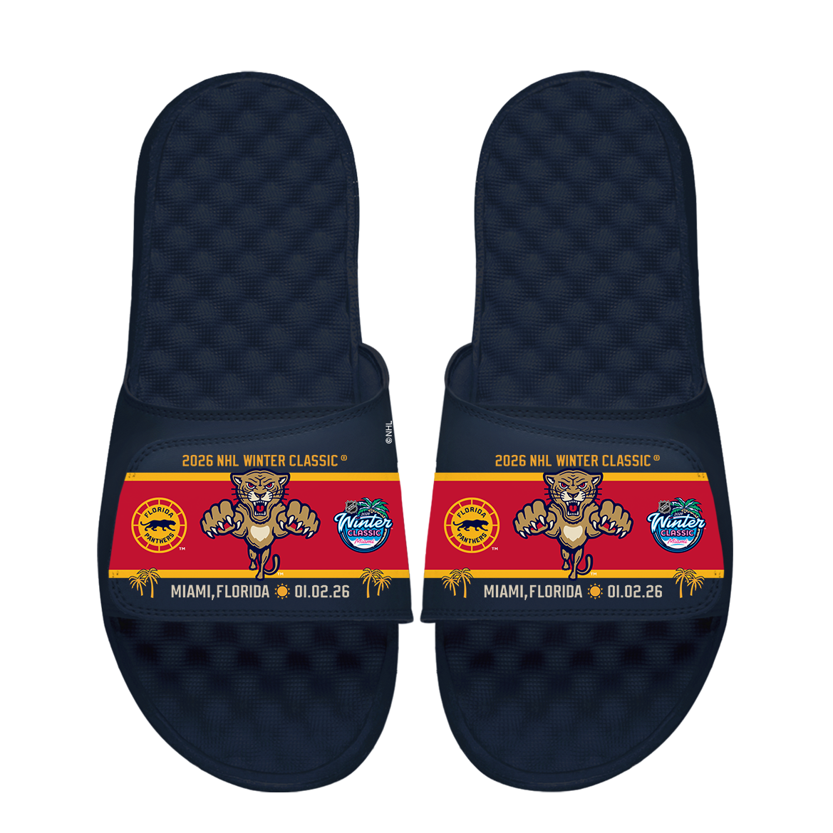 Florida Panthers 2026 Winter Classic Palm Trees