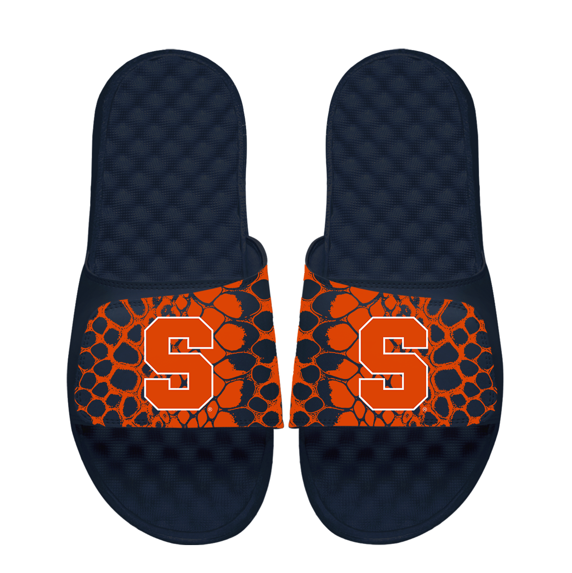 Syracuse Orange Year of the Snake