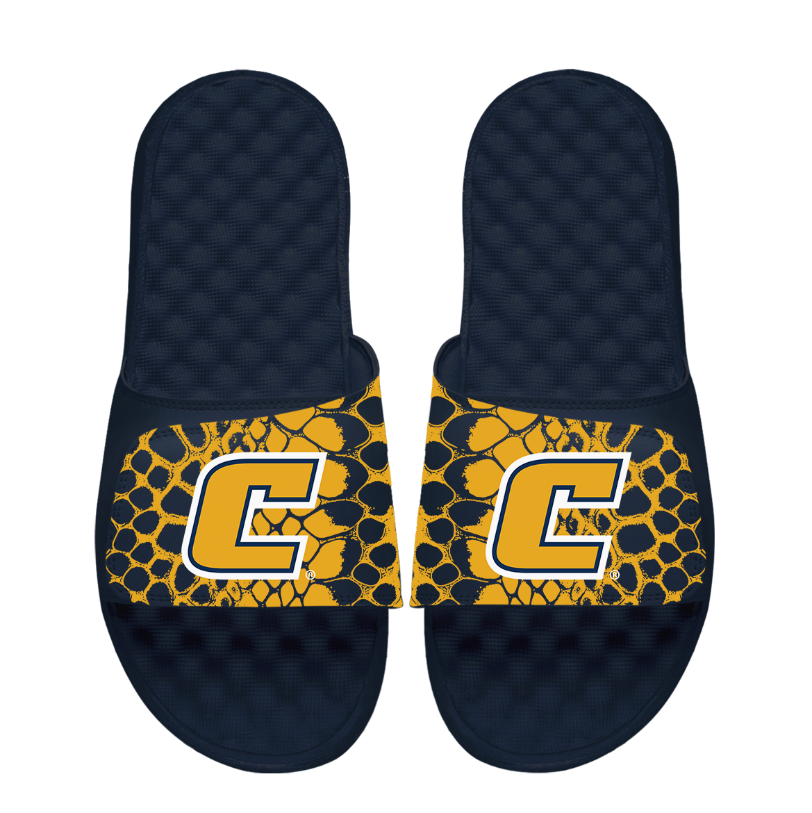 Tennessee Chattanooga Mocs Year of the Snake