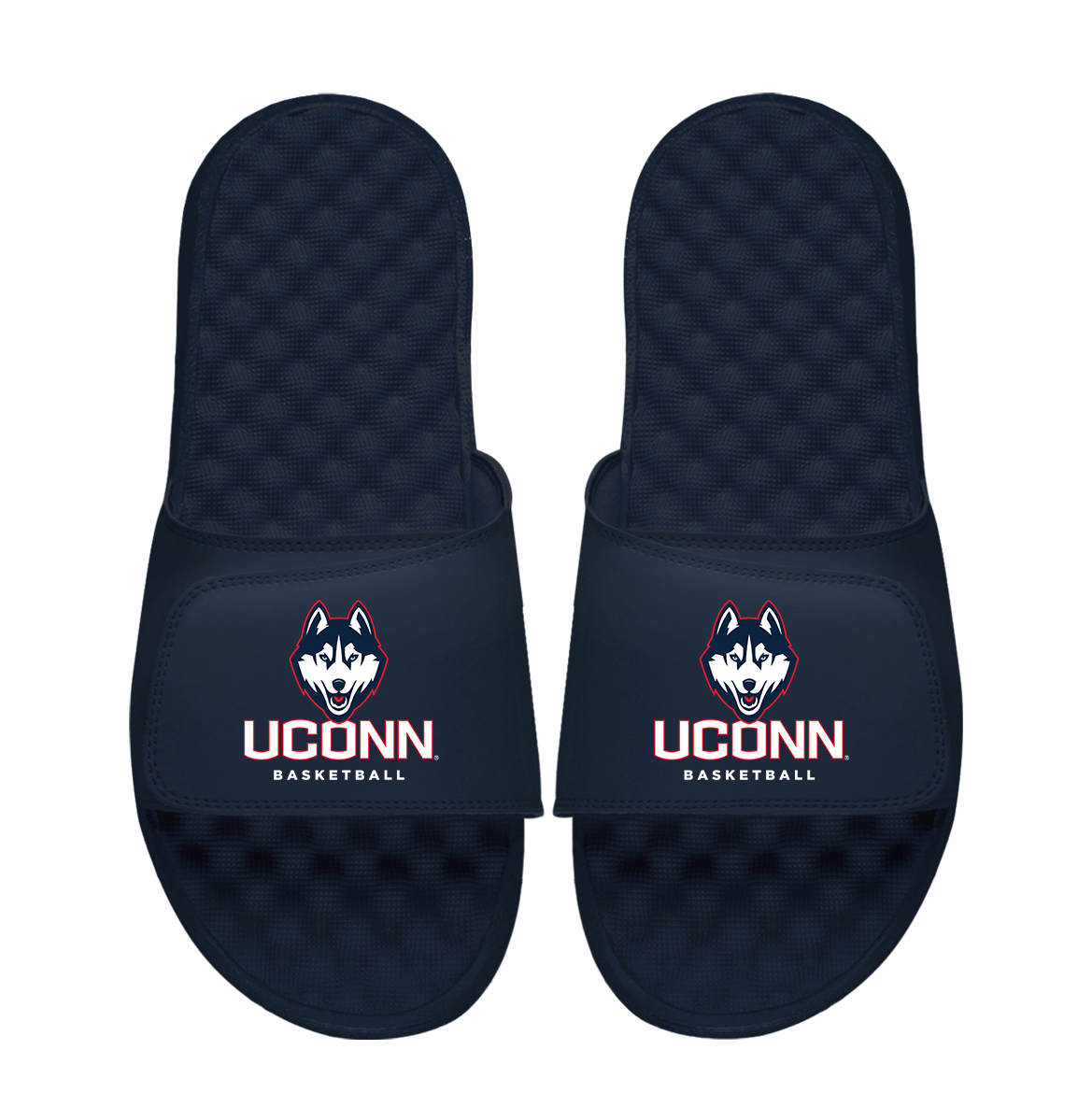 UConn Huskies Basketball Logo