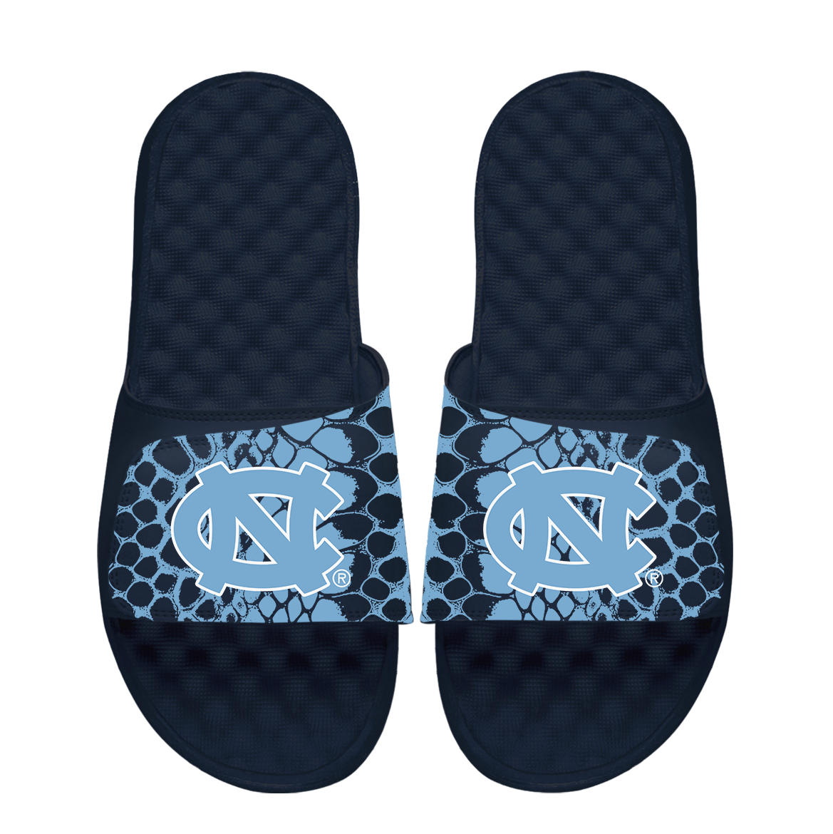 North Carolina Tar Heels Year of the Snake