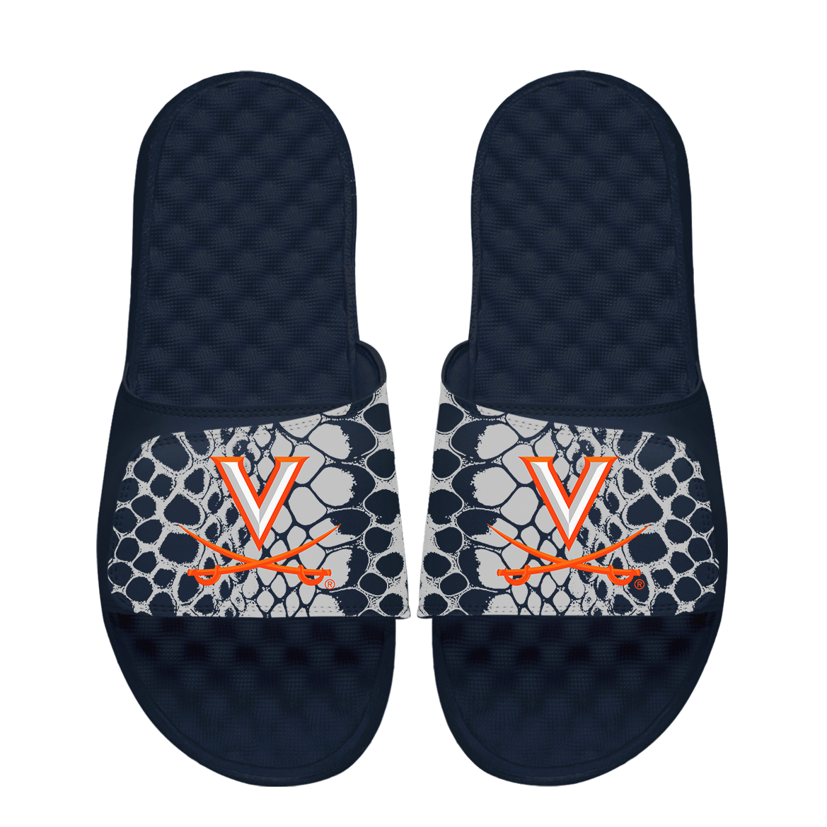 Virginia Cavaliers Year of the Snake