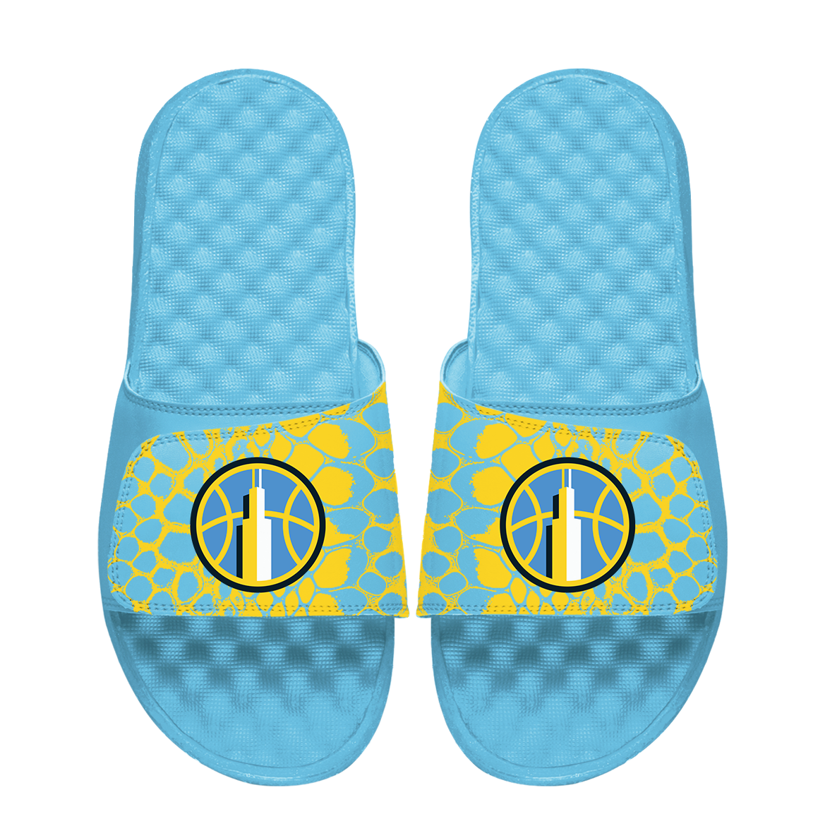 Chicago Sky Year of the Snake