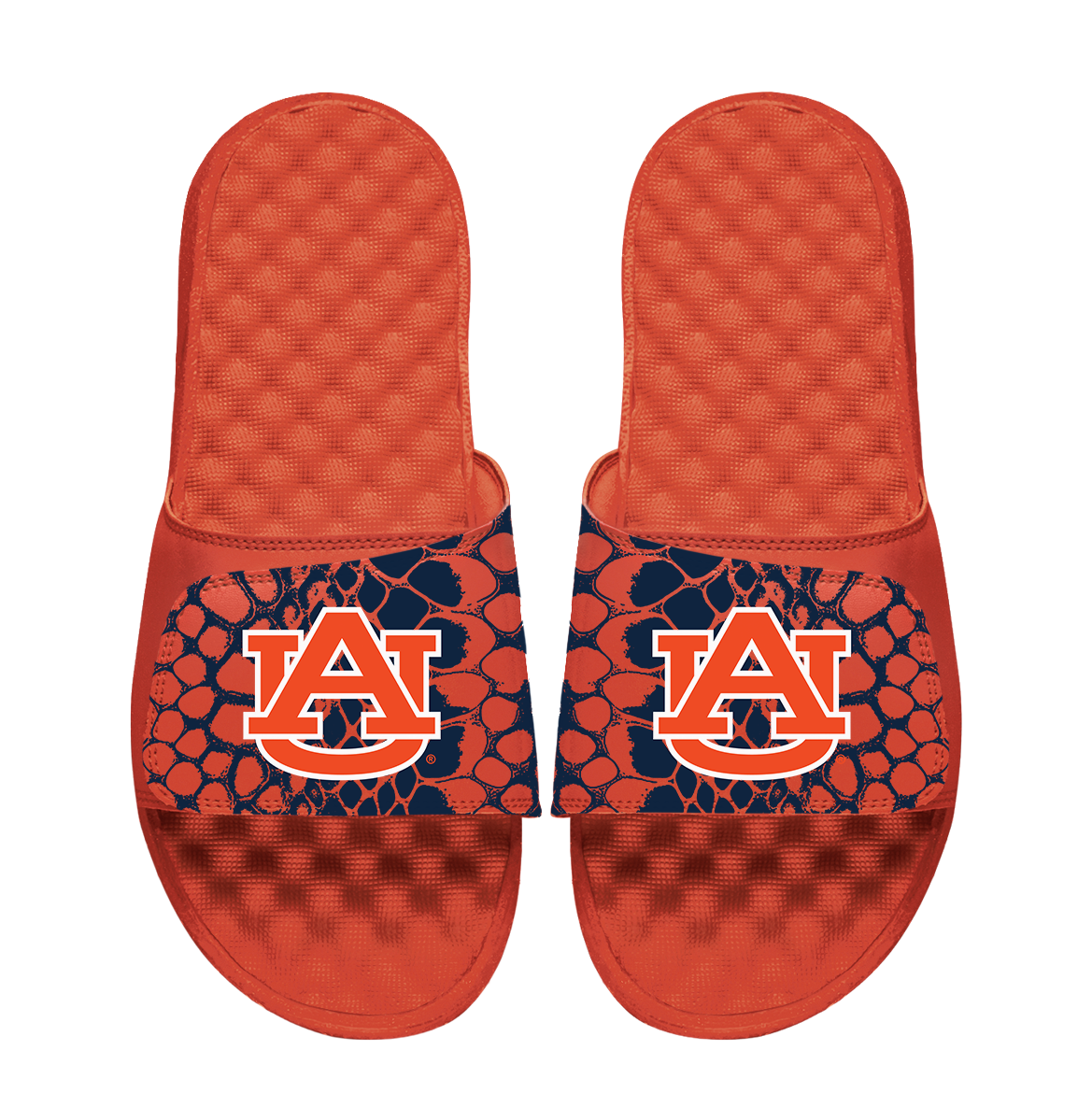 Auburn Tigers Year of the Snake