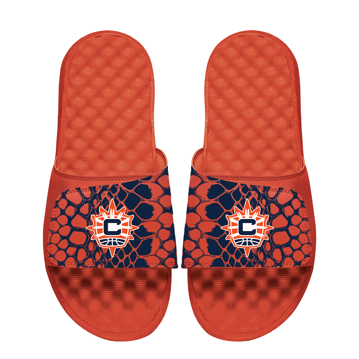 Connecticut Sun Year of the Snake