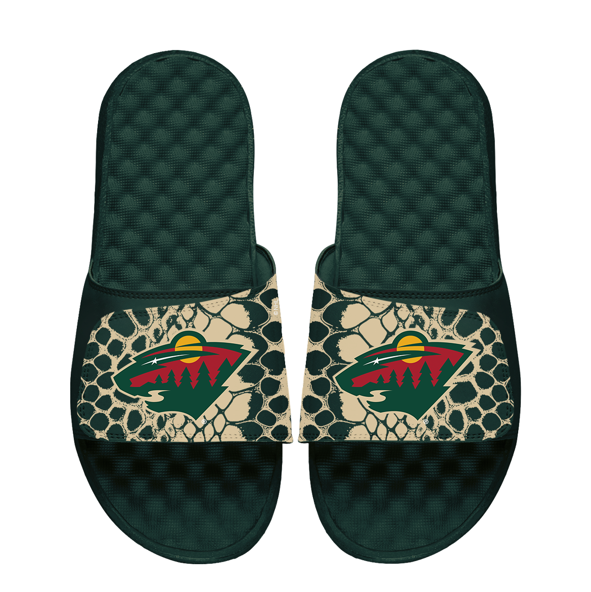 Wild Year of the Snake