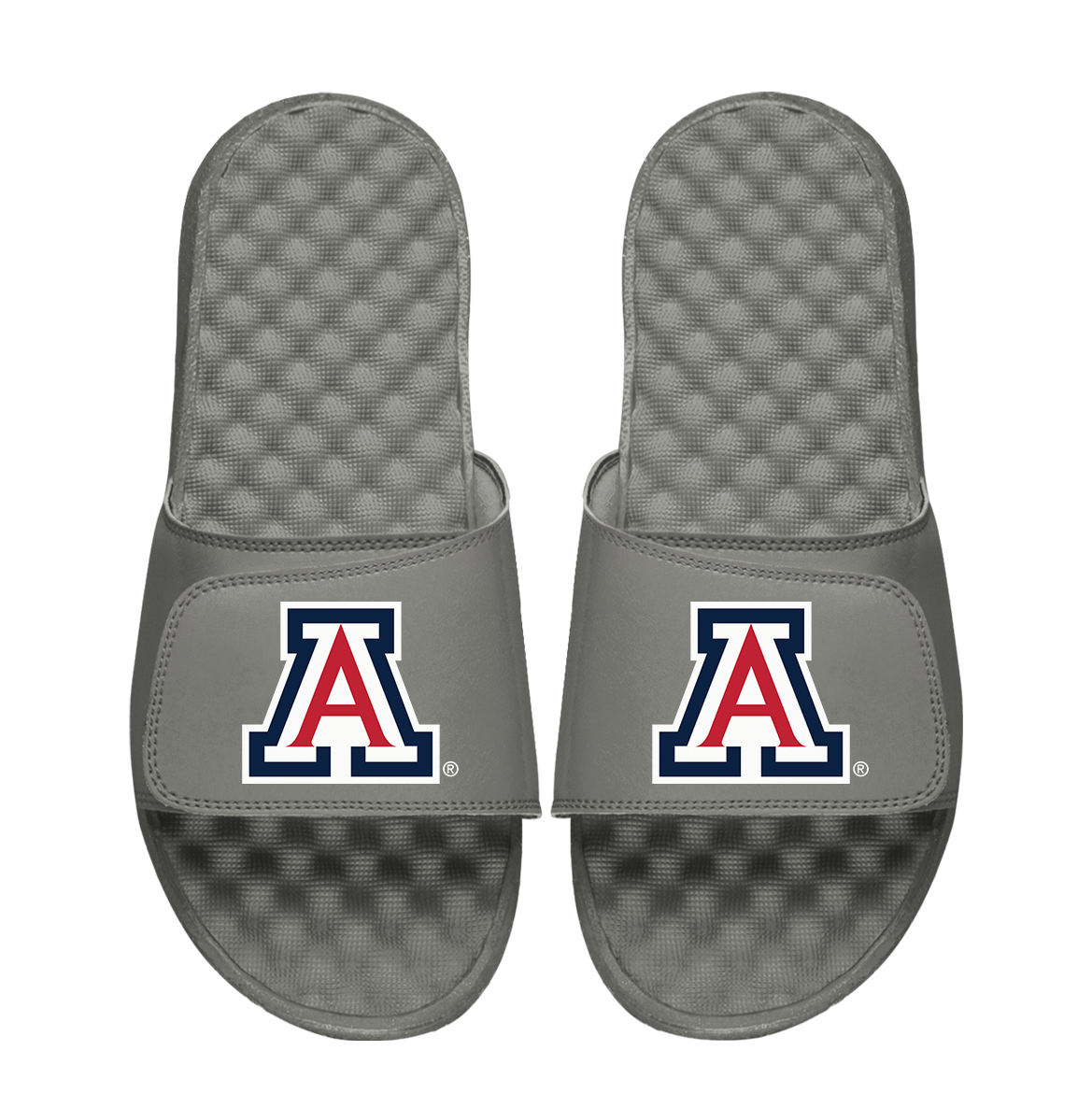 Arizona Wildcats Primary Logo