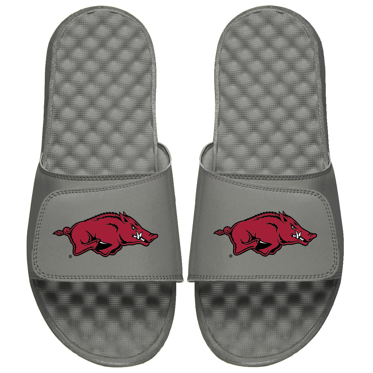 Arkansas Razorbacks Primary Logo