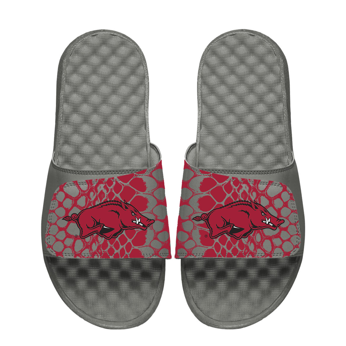 Arkansas Razorbacks Year of the Snake