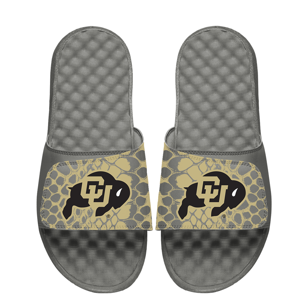 Colorado Buffaloes Year of the Snake