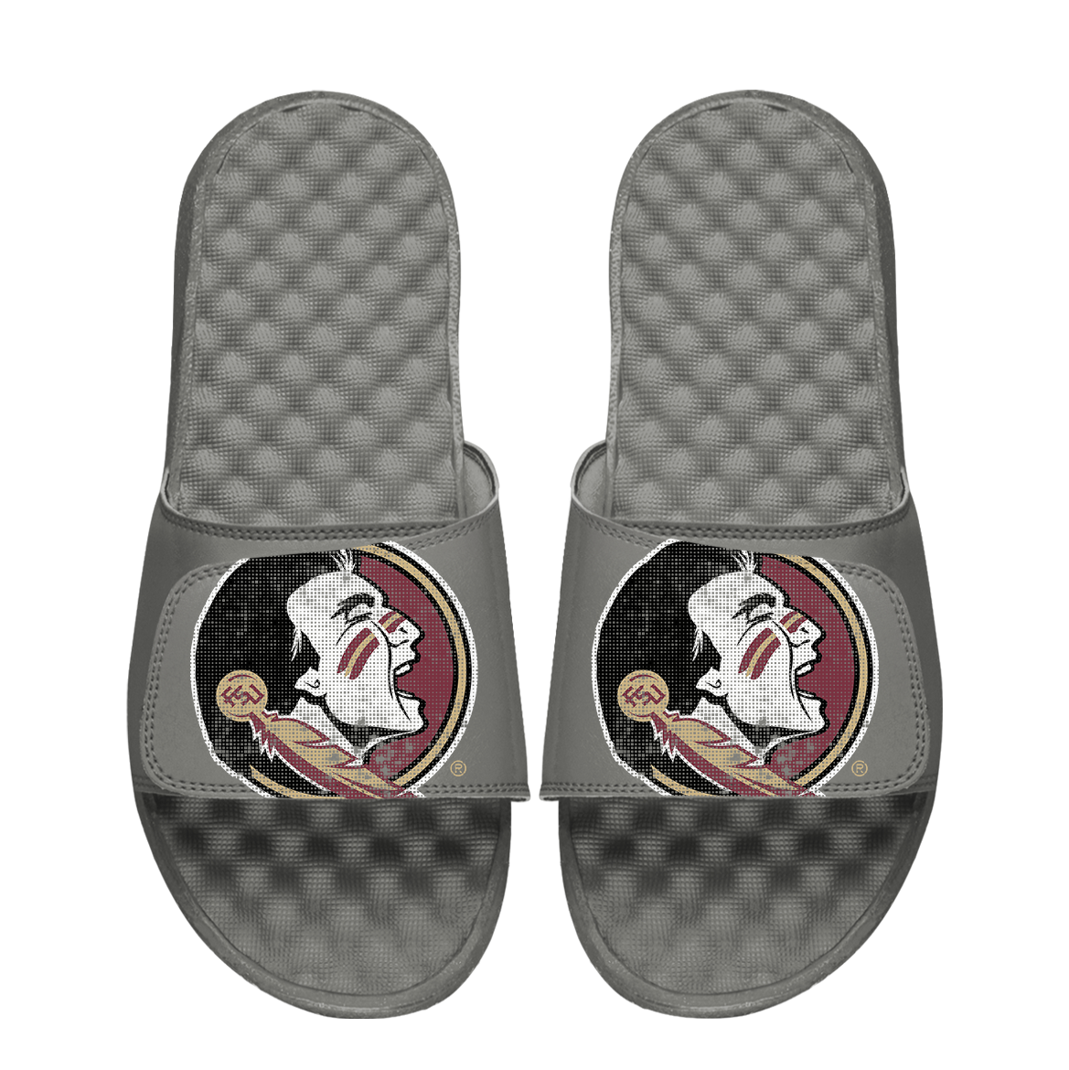 Florida State Seminoles Pixeled Distressed