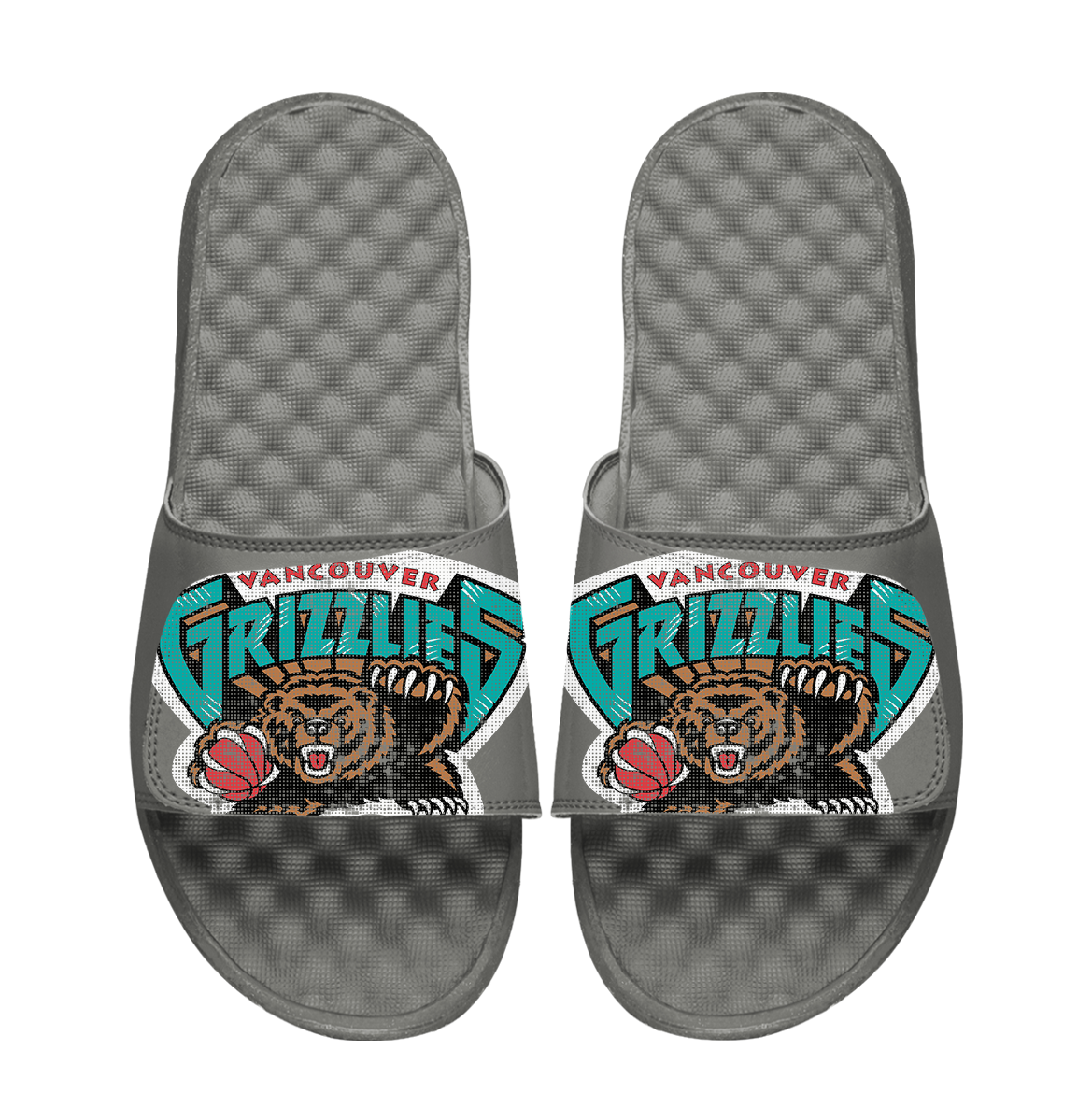 Vancouver Grizzlies Hardwood Classics Distressed Logo