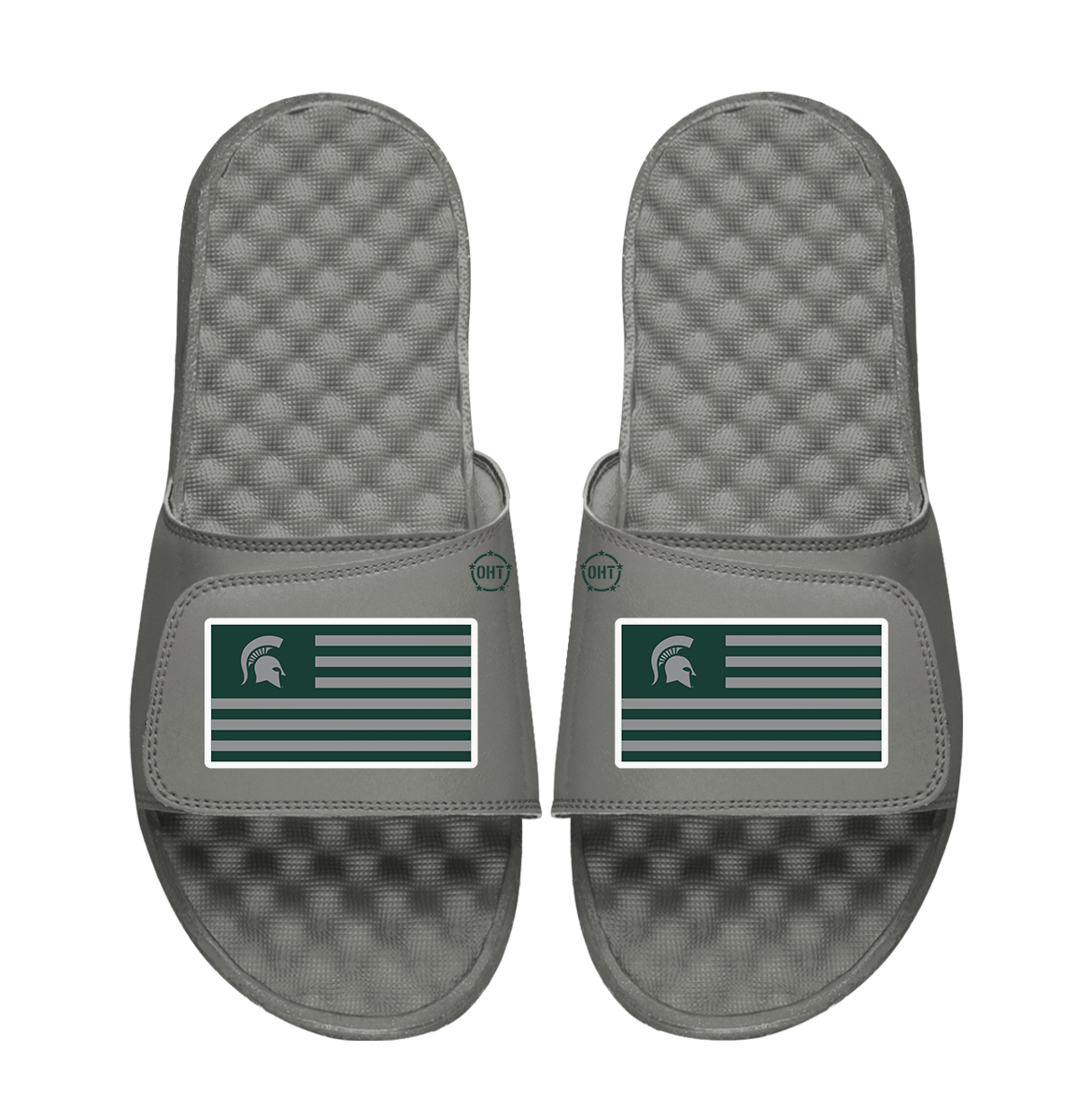 Michigan State Spartans Team Flag ISlide x OHT