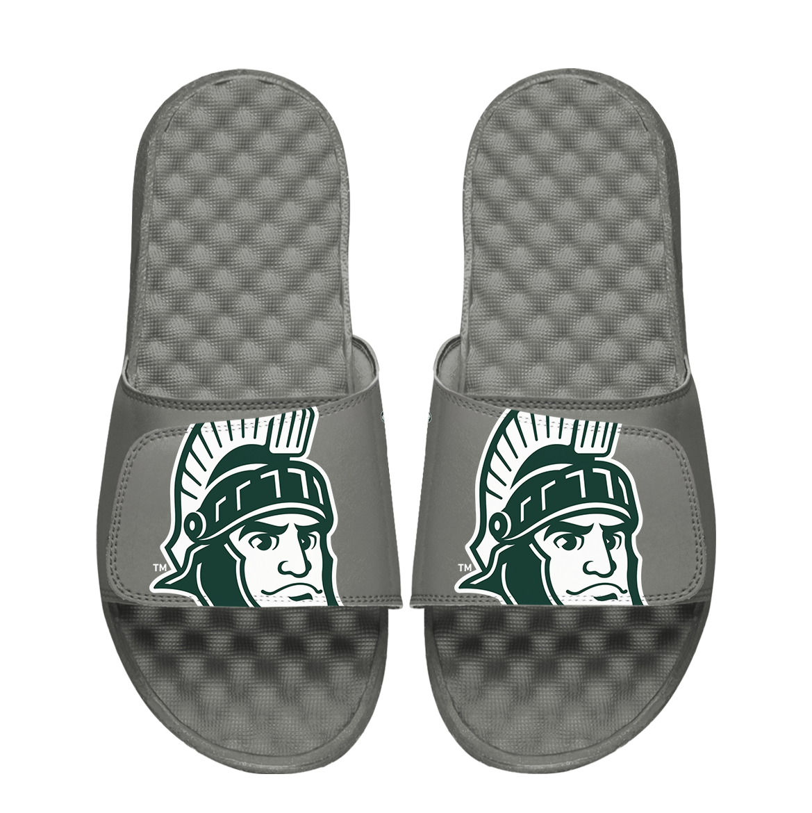Michigan State Spartans Mascot