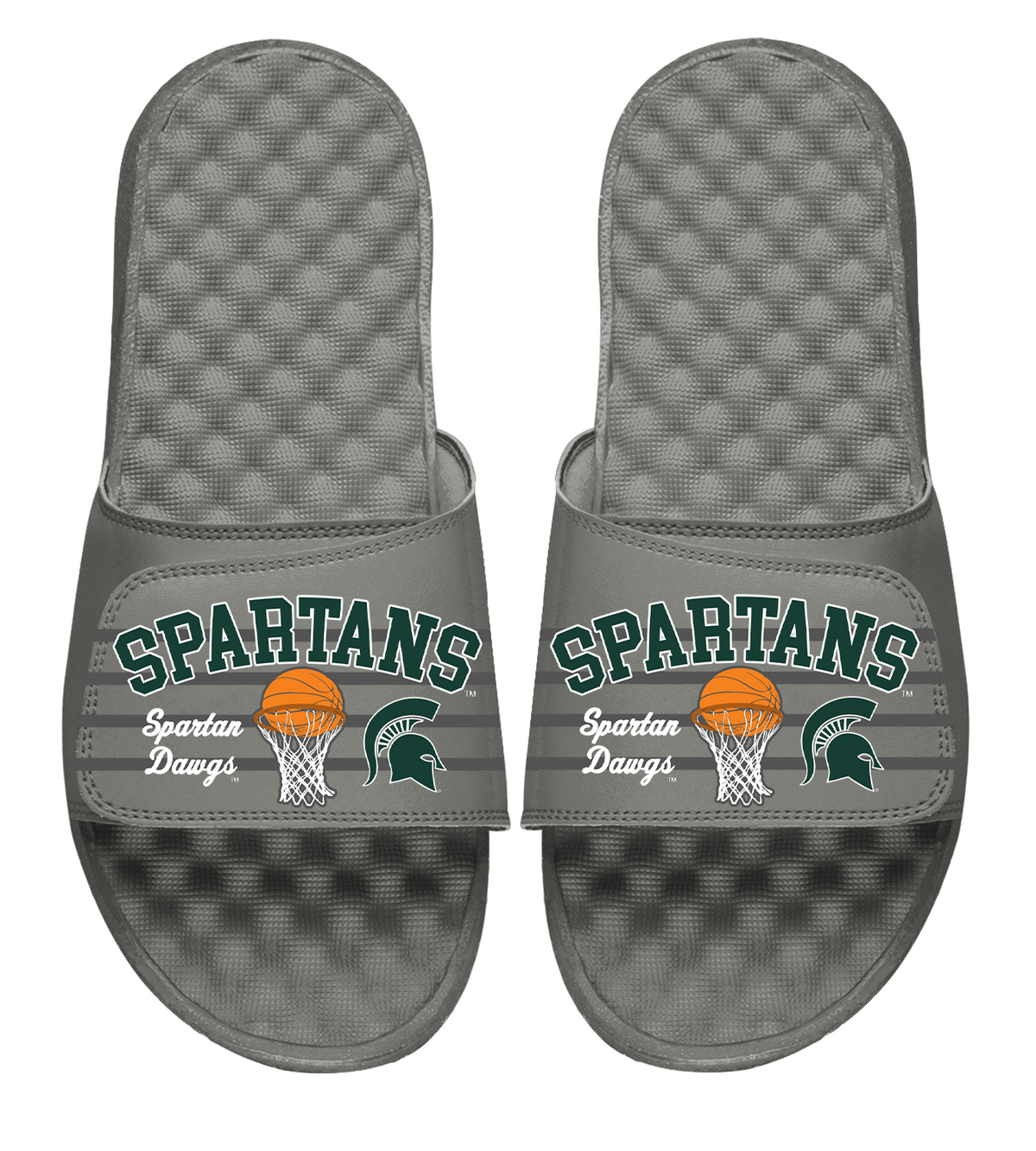 Michigan State Spartans Basketball Collage 2025