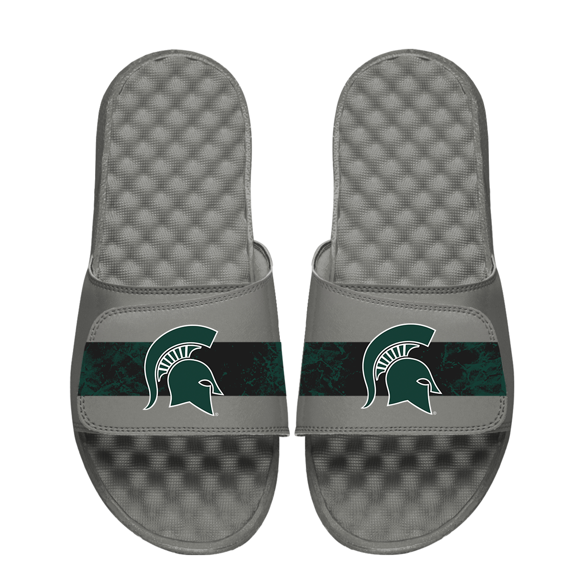 Michigan State Distressed