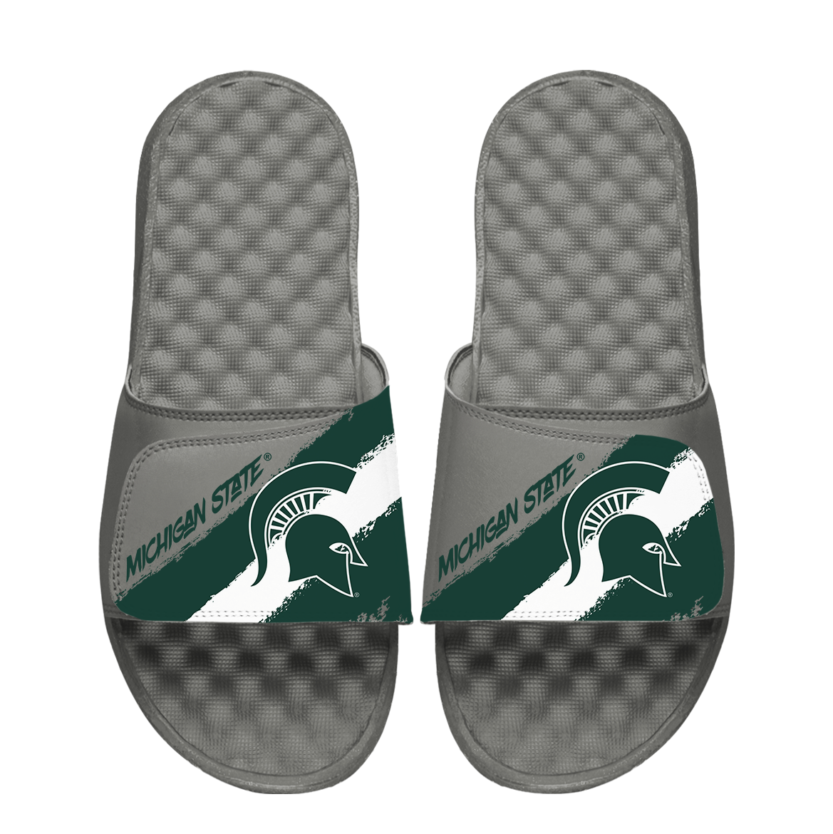Michigan State Spartans Paint Stripes