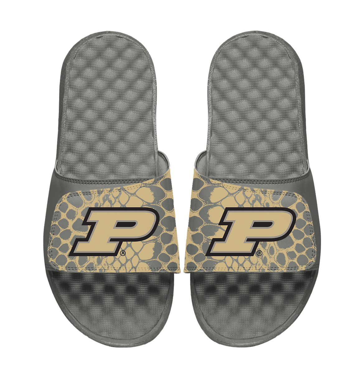 Purdue Boilermakers Year of the Snake