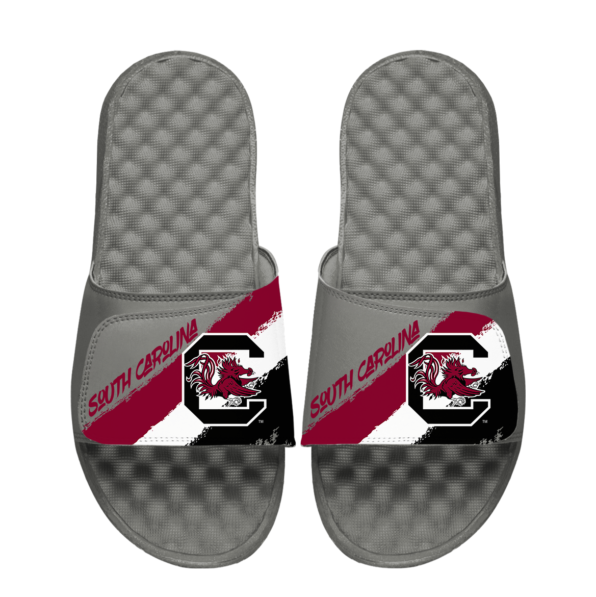 South Carolina Gamecocks Paint Stripes