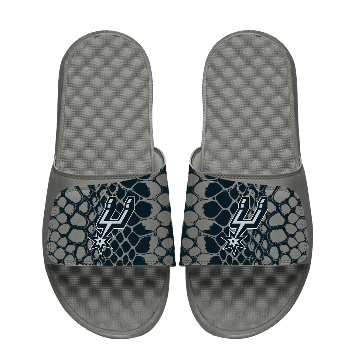 Holy Cross Crusaders Year of the Snake