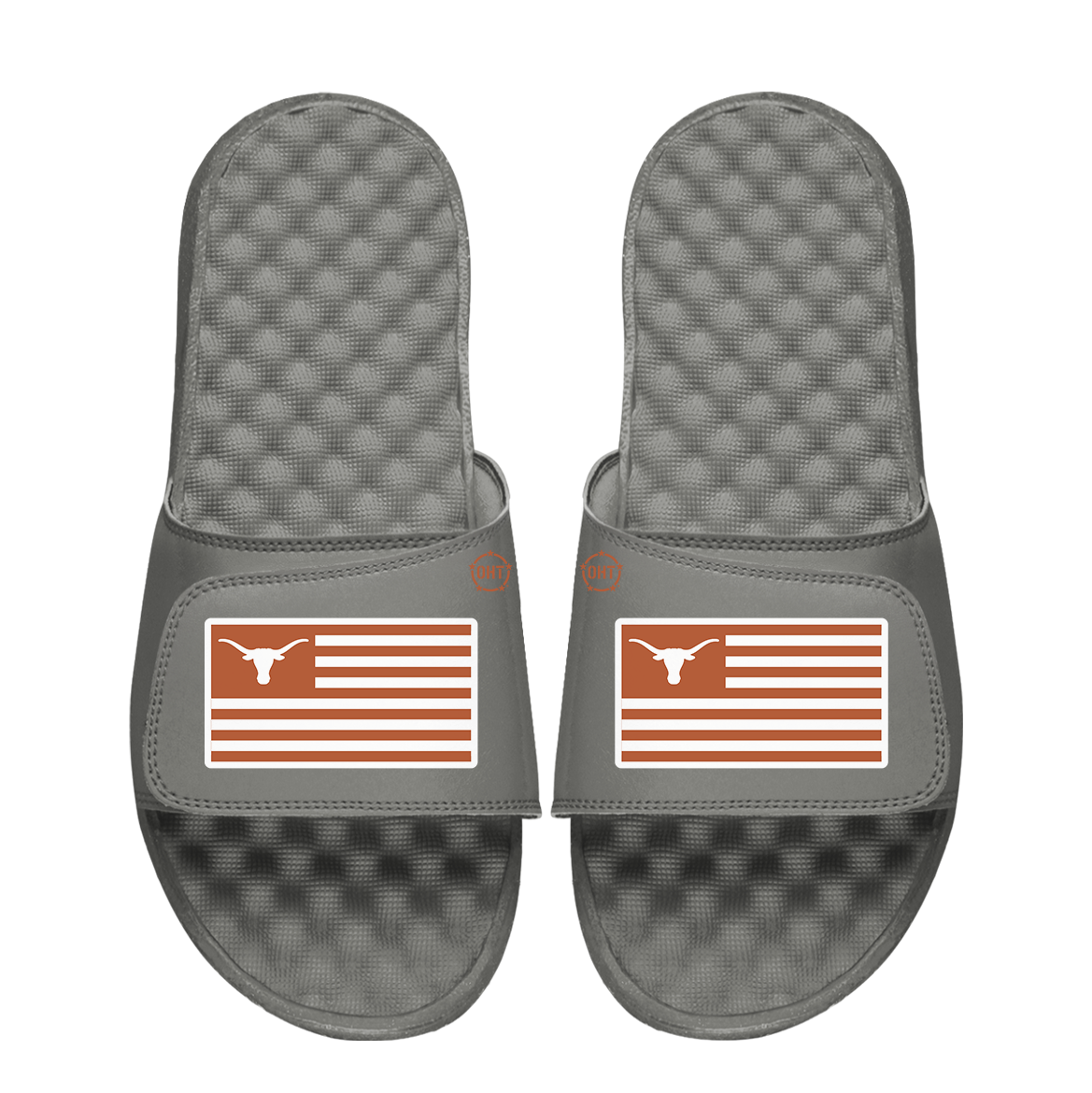 Texas Longhorns Team Flag ISlide x OHT