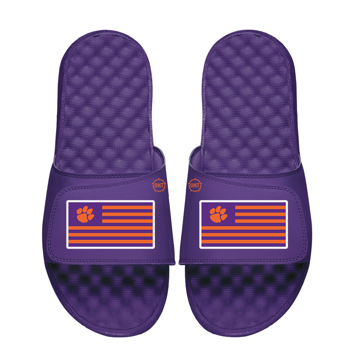 Clemson Tigers Team Flag ISlide x OHT