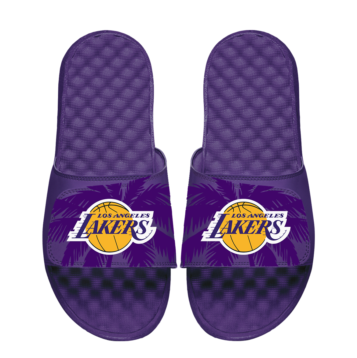 Los Angeles Lakers Palm Trees