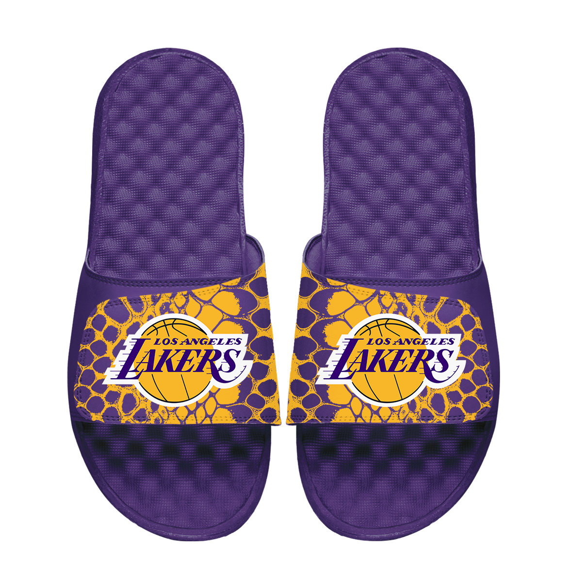 Los Angeles Lakers Year of the Snake
