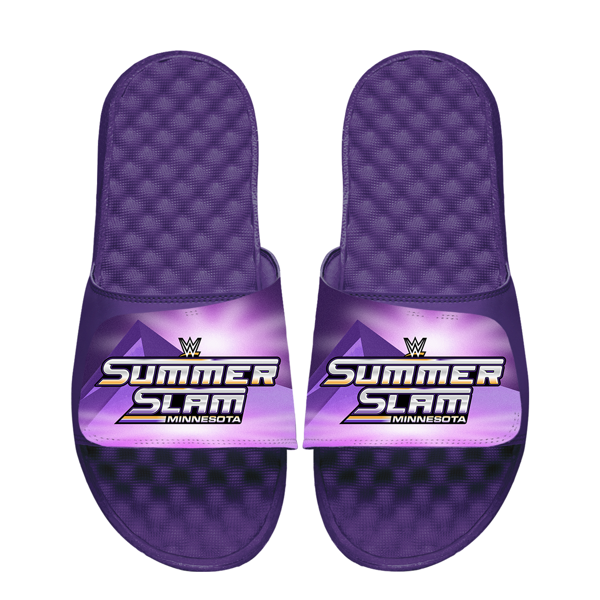 WWE 2026 SummerSlam Full Bleed
