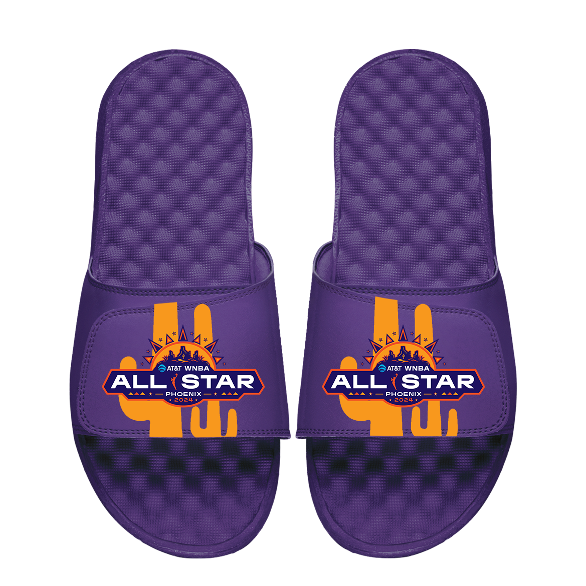 WNBA 2024 All-Star Game Cacti