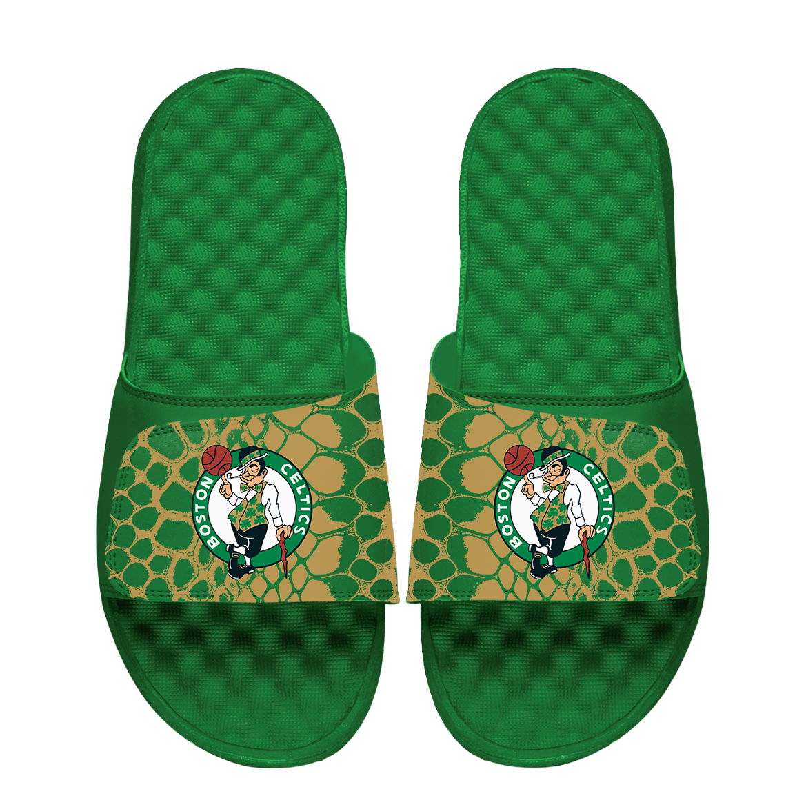 Boston Celtics Year of the Snake