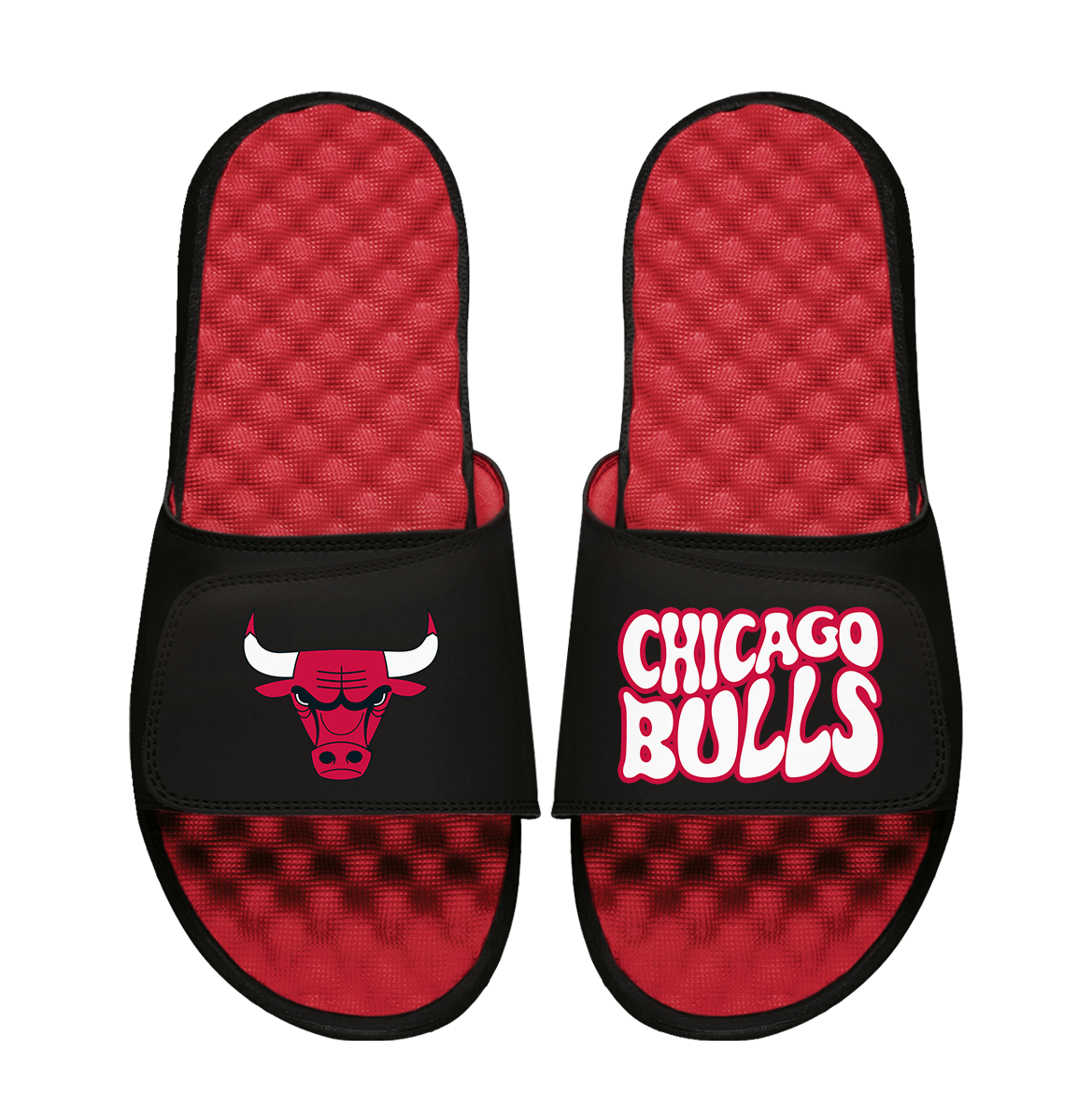 Chicago Bulls Bubble Letters