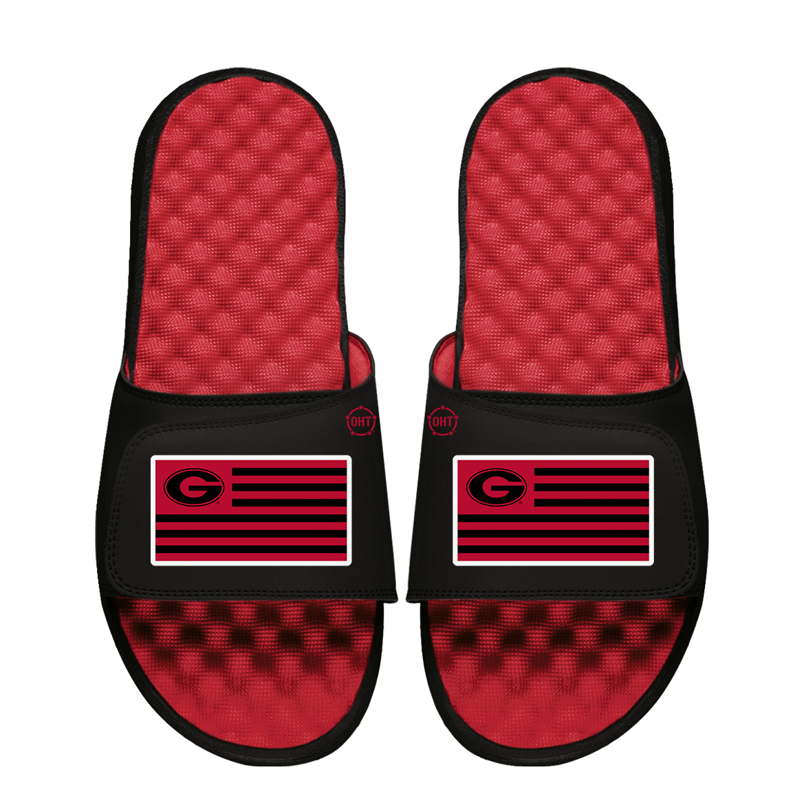 Georgia Bulldogs Team Flag ISlide x OHT