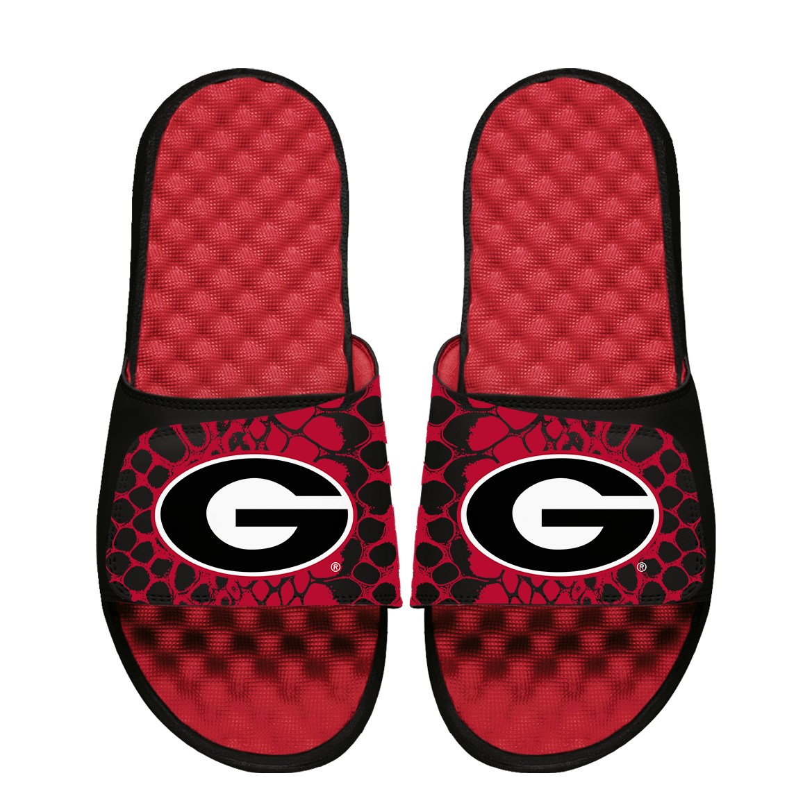 Georgia Bulldogs Year of the Snake