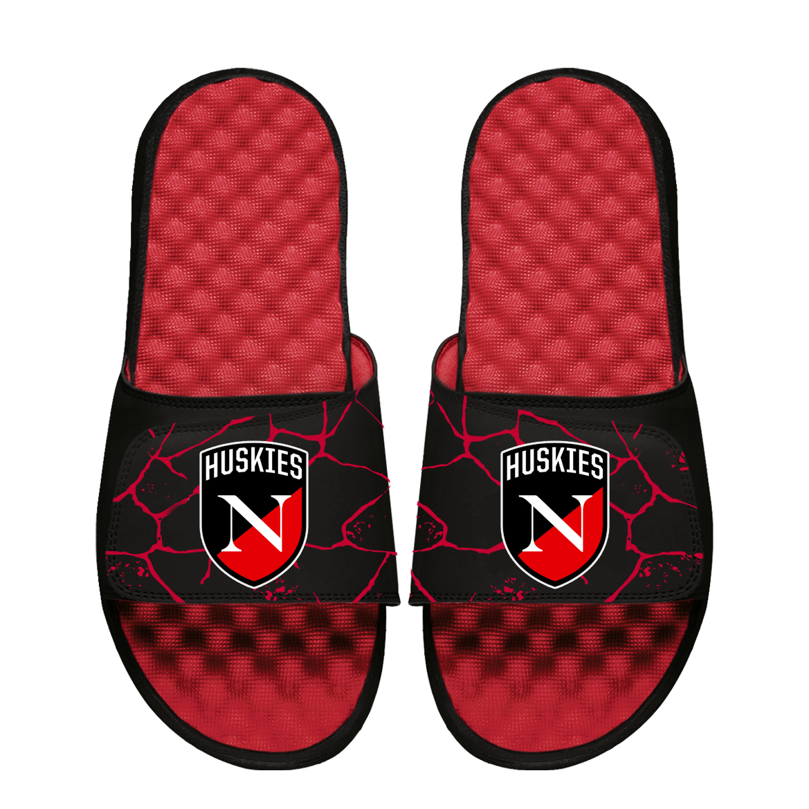 Northeastern Huskies Shatter