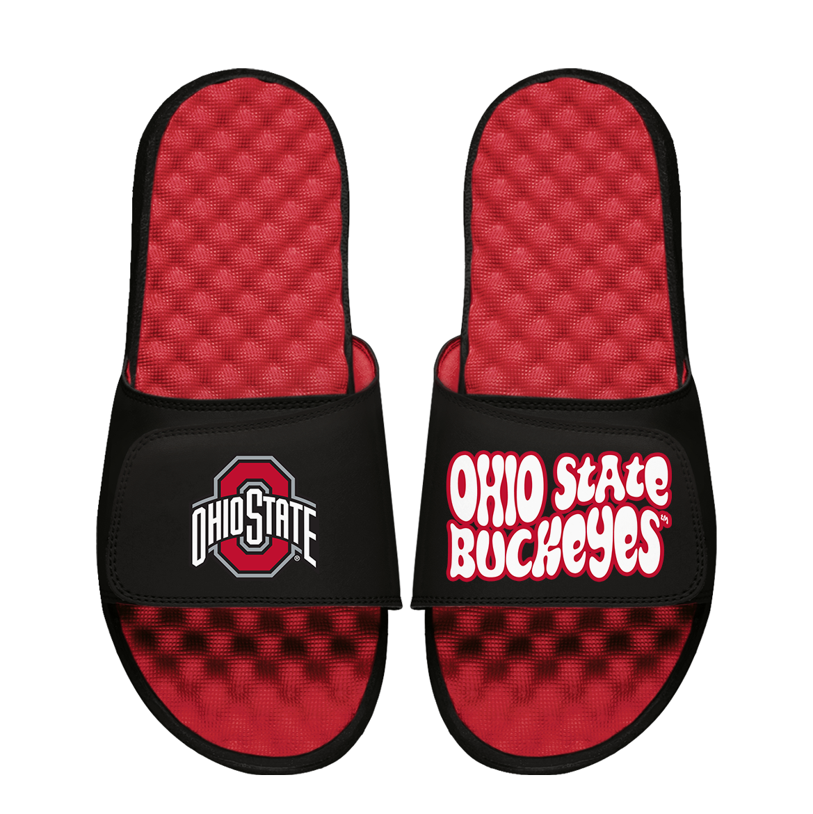Ohio State Buckeyes Bubble Letters Mantra