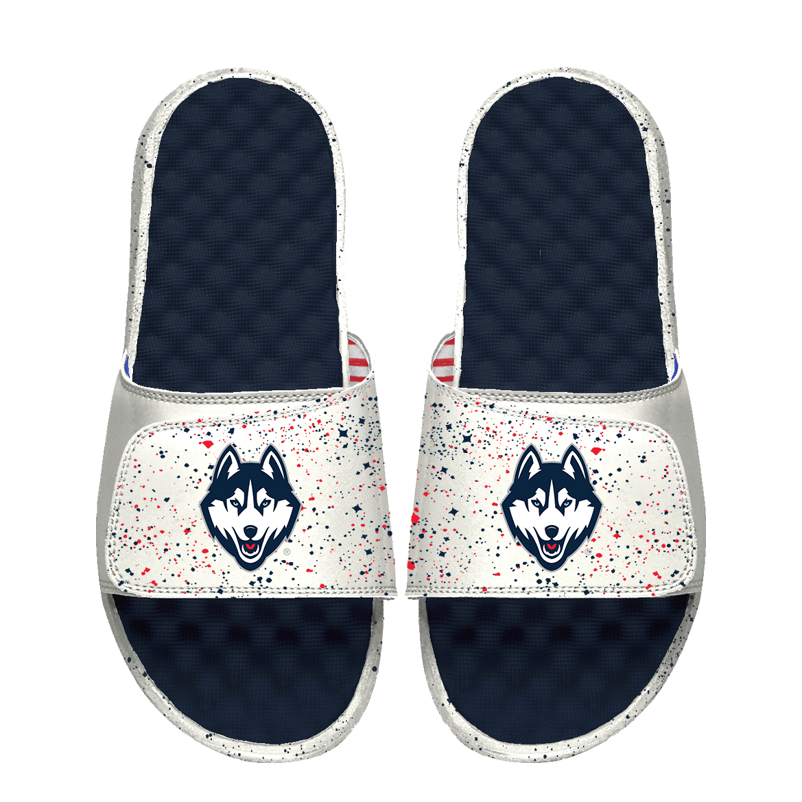 UConn Huskies Primary Americana