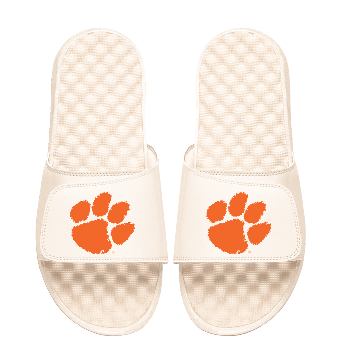 Clemson Tigers Primary Logo