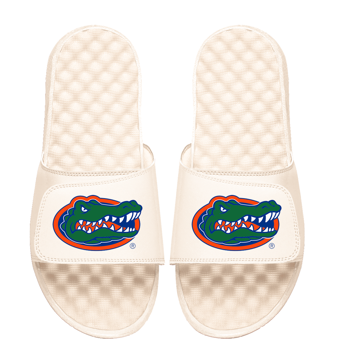 Florida Gators Primary Logo
