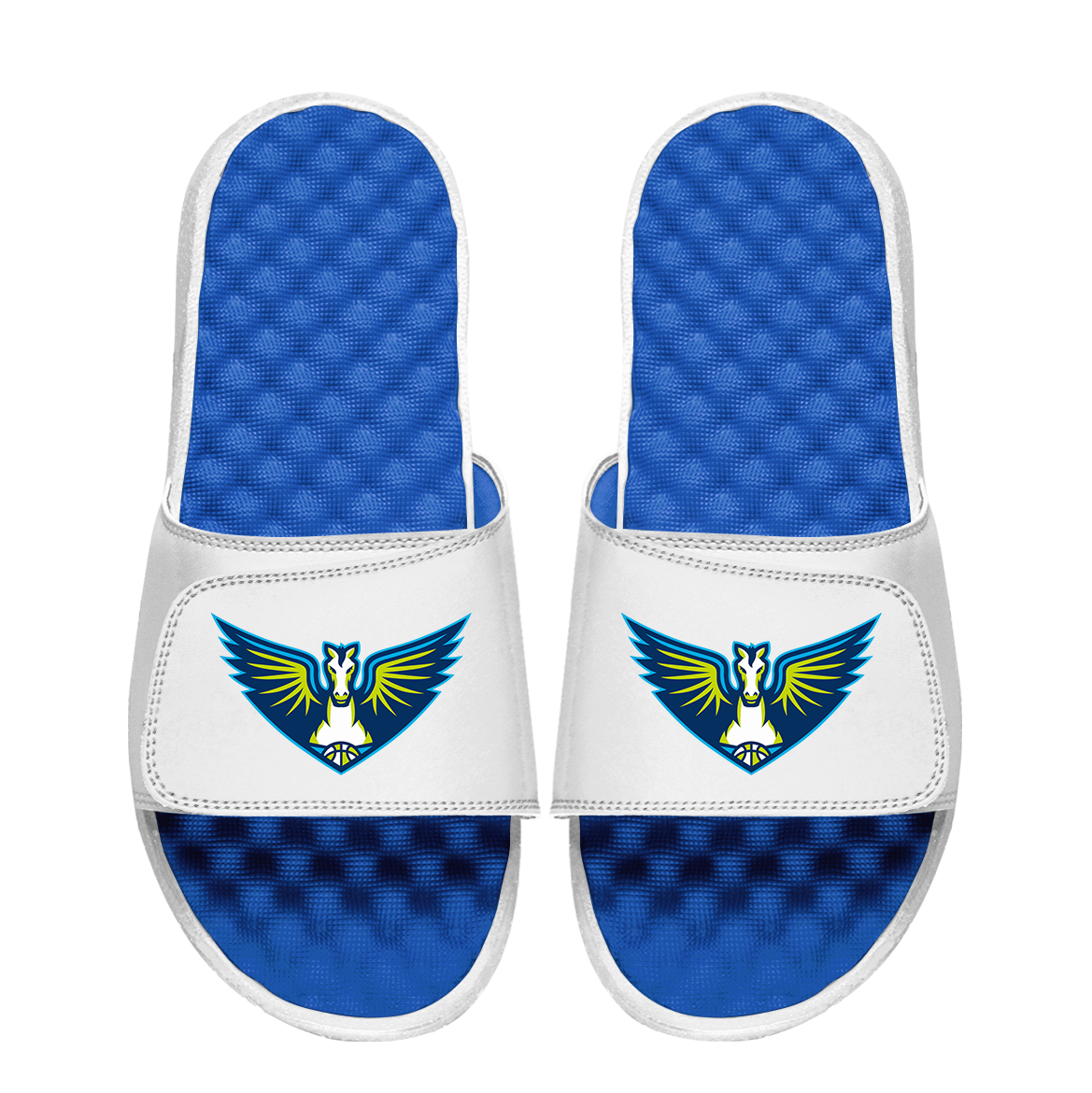 Dallas Wings Primary