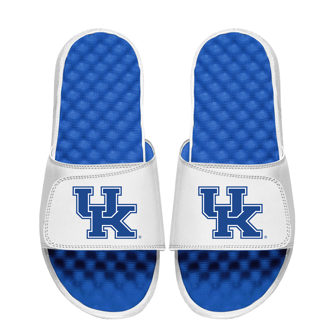Kentucky Wildcats Primary