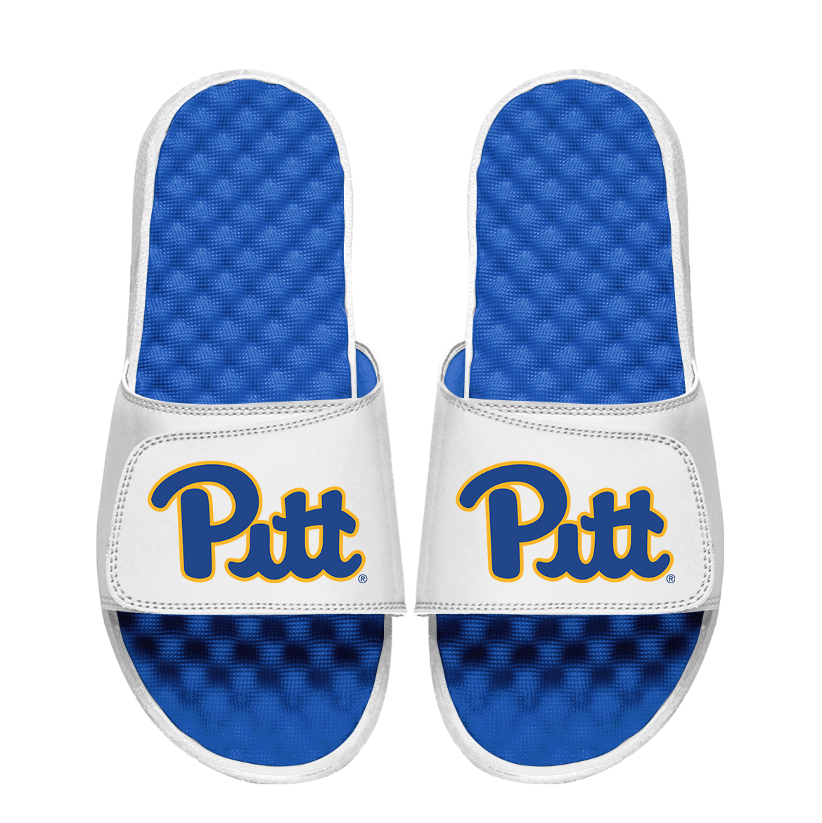 Pitt Panthers Primary