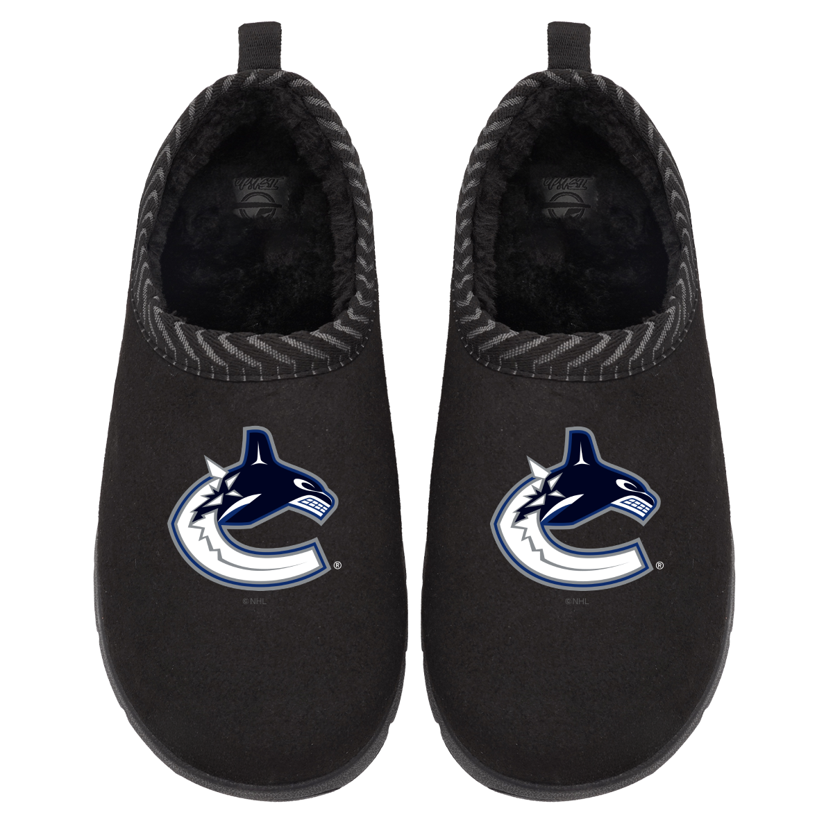 Vancouver Canucks Primary Logo Mission